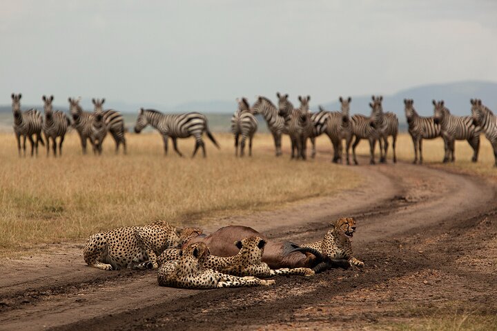 7 Days 6 Nights Midrange Safari to Kenya